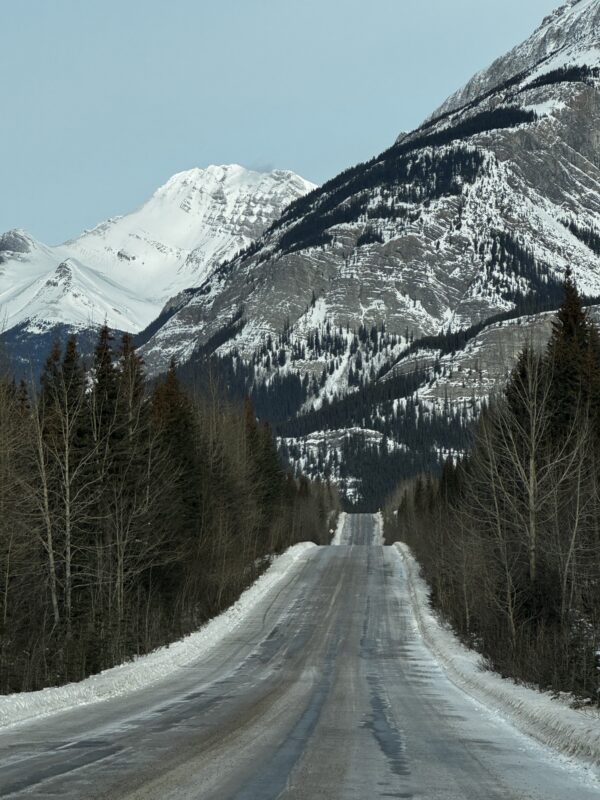 Icefields Parkway, Lake Louise to Jasper. Image © PlanetSKI